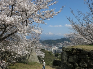 米子城の桜