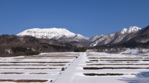 雪の棚田